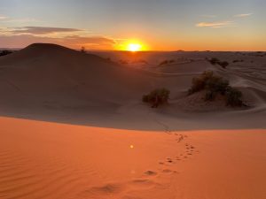 propre chemin vers la liberté