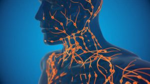 drainage lymphatique